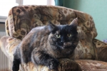 20101127_041.JPG