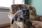 20101127_042.JPG