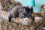 20101127_043.JPG