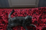 20101127_051.JPG