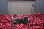 20101127_052.JPG