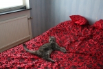 20101127_053.JPG