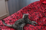 20101127_054.JPG