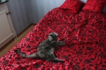 20101127_056.JPG