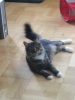 20120904_162846_Android.jpg