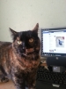 20120904_163142_Android.jpg