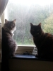 20120927_142931_Android.jpg