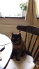 20130703_182310_Android.jpg