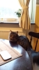 20131118_143226_Android.jpg