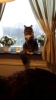 20131119_112854_Android.jpg