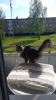 20160508_151659.jpg