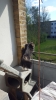 20160508_151705.jpg