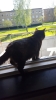 20160508_152721.jpg