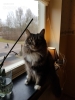 20180314_084921.jpg