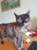 20180530_153257.jpg