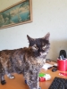 20180530_153312.jpg