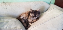 20180608_100557.jpg