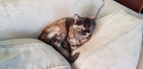 20180608_100604.jpg