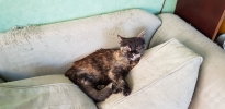 20180608_100638.jpg