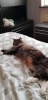 20180715_135124.jpg