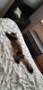 20180715_135141.jpg