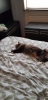 20180715_135145.jpg