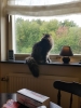 20180831_155452.jpg