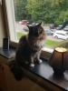 20180831_155504.jpg