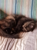 20181215_134848.jpg
