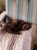 20181215_134852.jpg