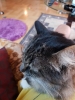 20181215_135258.jpg