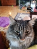 20181215_135418.jpg