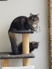 20181223_121045.jpg