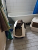20181224_133015.jpg