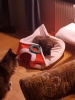20181226_151828.jpg