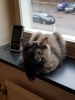 20190116_111556.jpg