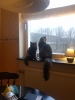 20190117_090044.jpg