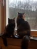 20190117_090103.jpg