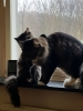 20190124_114904.jpg