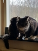 20190124_114905.jpg