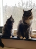 20190124_114919.jpg