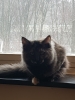 20190126_120635.jpg