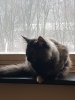 20190126_120654.jpg