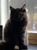 20190207_134539.jpg