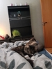 20190323_160157.jpg