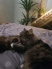 20190427_154512.jpg