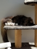 20190516_134032.jpg