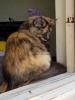20190516_134045.jpg