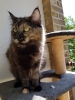 20190529_124128.jpg