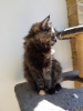 20190529_124238.jpg